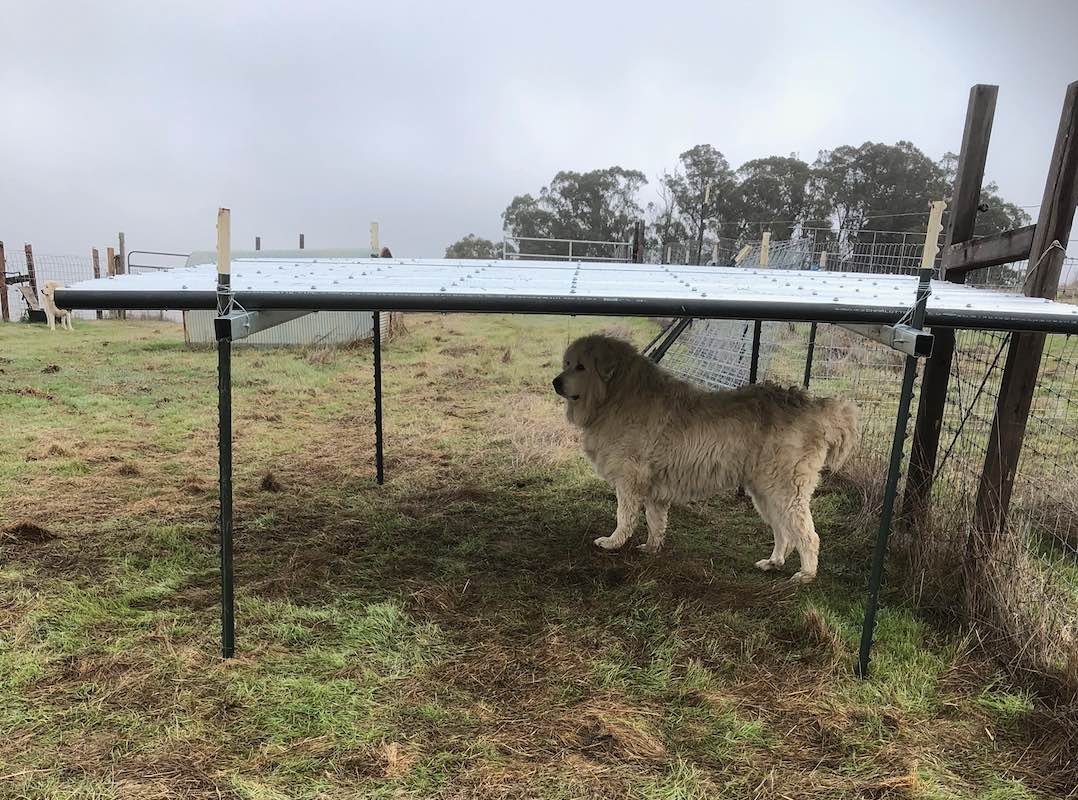 Shelter and Water